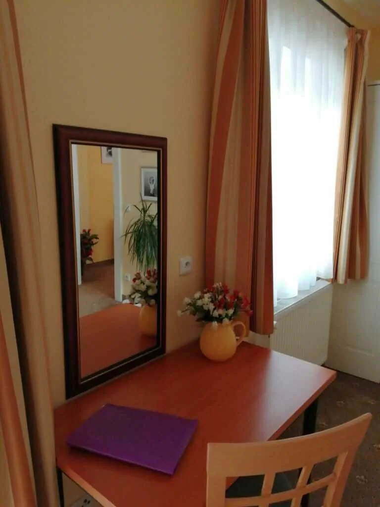 Apartmány Český Dvůr Mariánské Lázně - foto 8