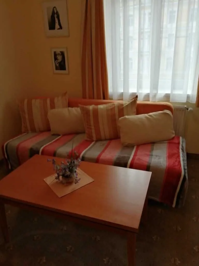 Apartmány Český Dvůr Mariánské Lázně - foto 7