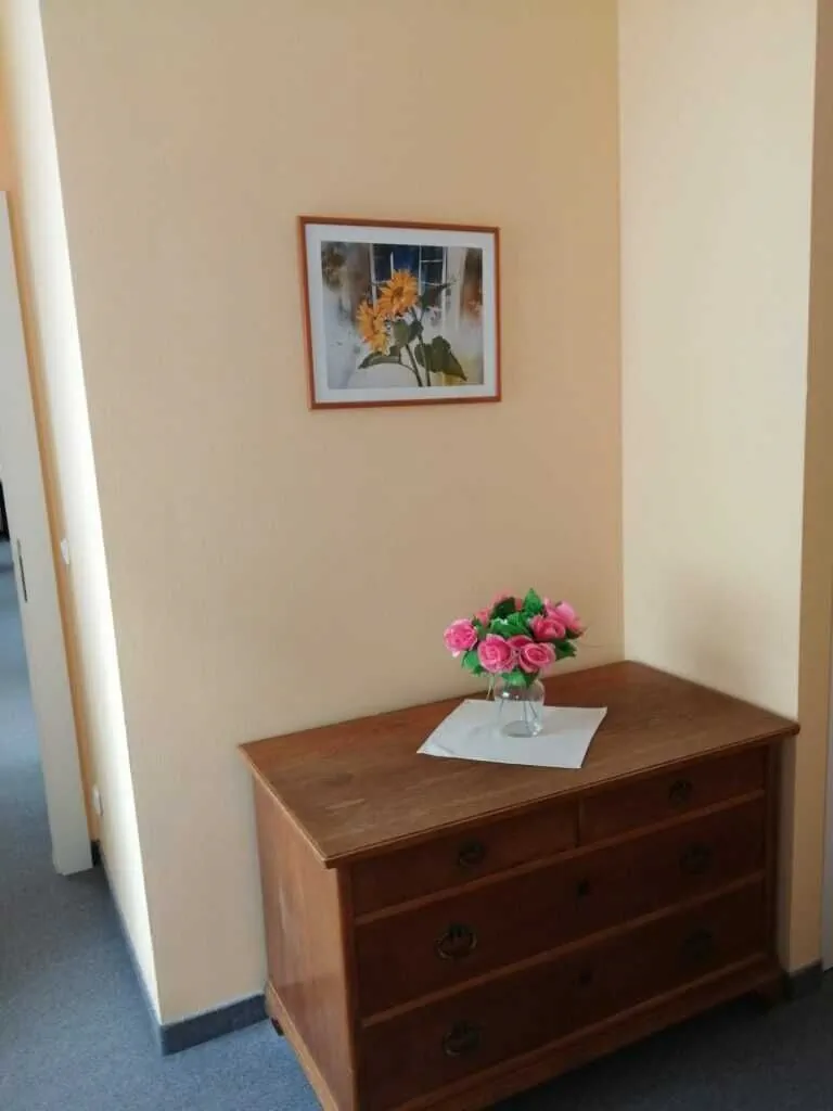 Apartmány Český Dvůr Mariánské Lázně - foto 4