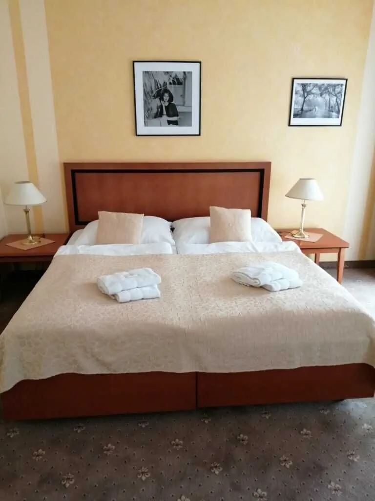 Apartmány Český Dvůr Mariánské Lázně - foto 9
