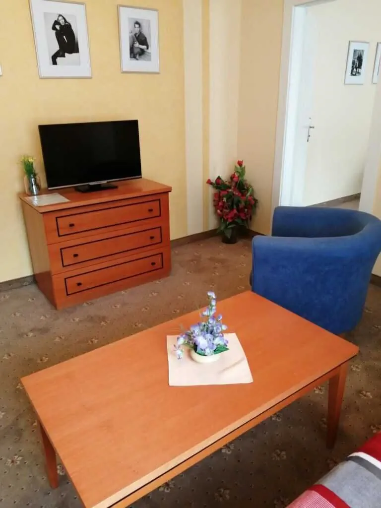 Apartmány Český Dvůr Mariánské Lázně - foto 6