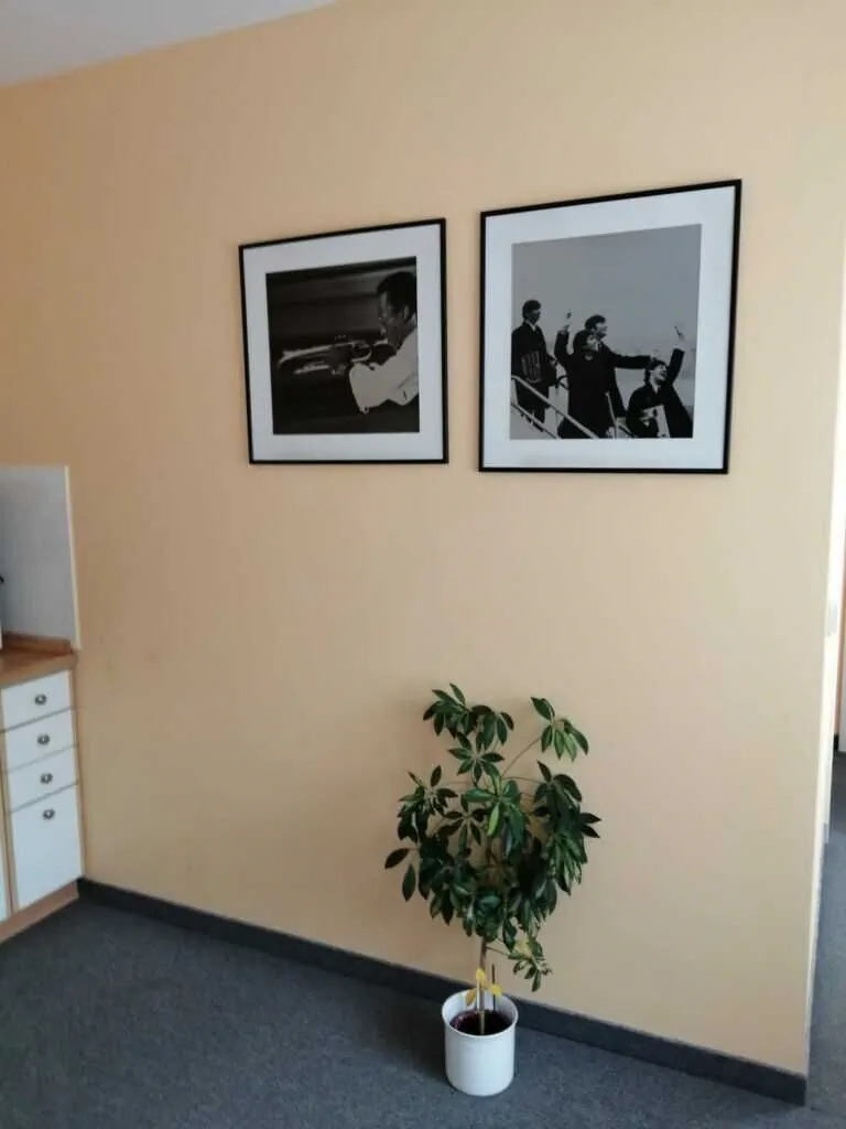 Apartmány Český Dvůr Mariánské Lázně - foto 10