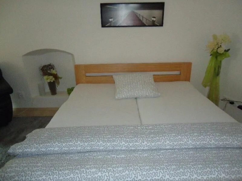 Apartmány pod Kotnovem Tábor – Tabor, Czechy