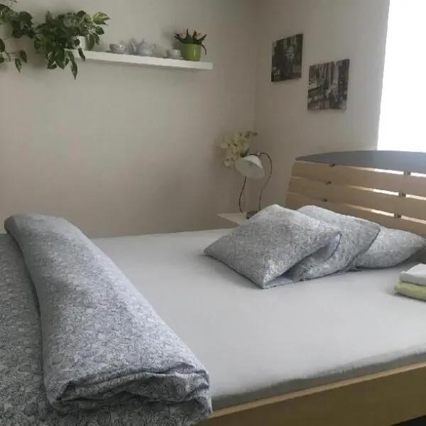 Apartmány pod Kotnovem Tábor – Tabor, Czechy