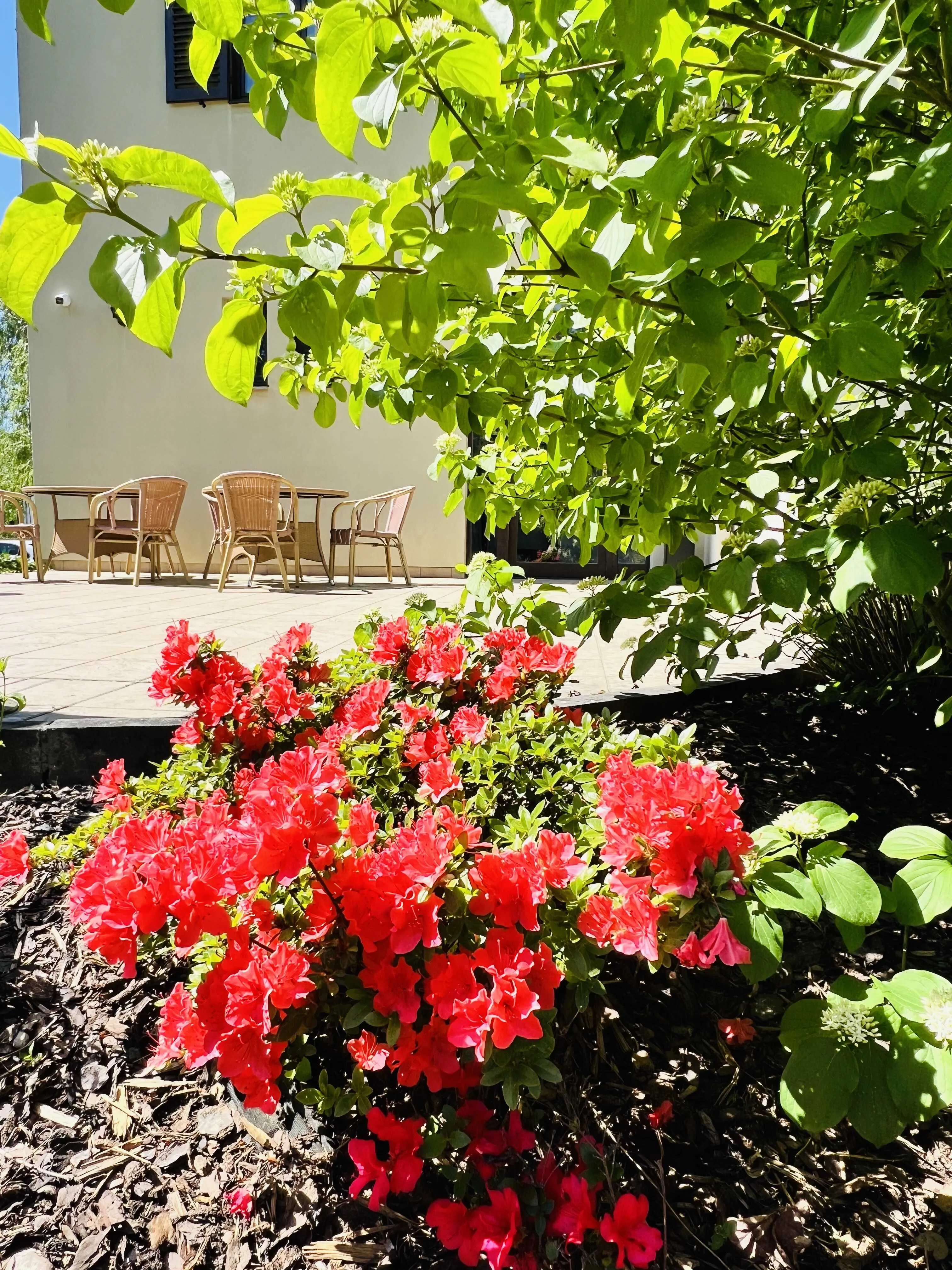 Pension Villa ANCORA Šumperk – Šumperk, Czechy