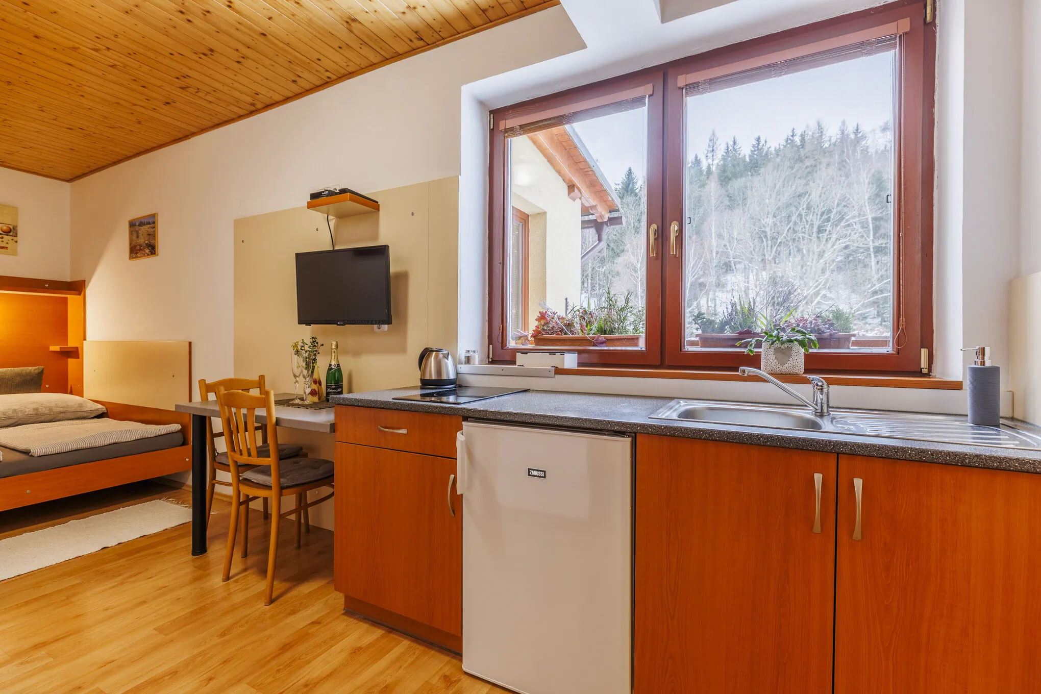 Apartmány Novákovi Dolní Morava - foto 7