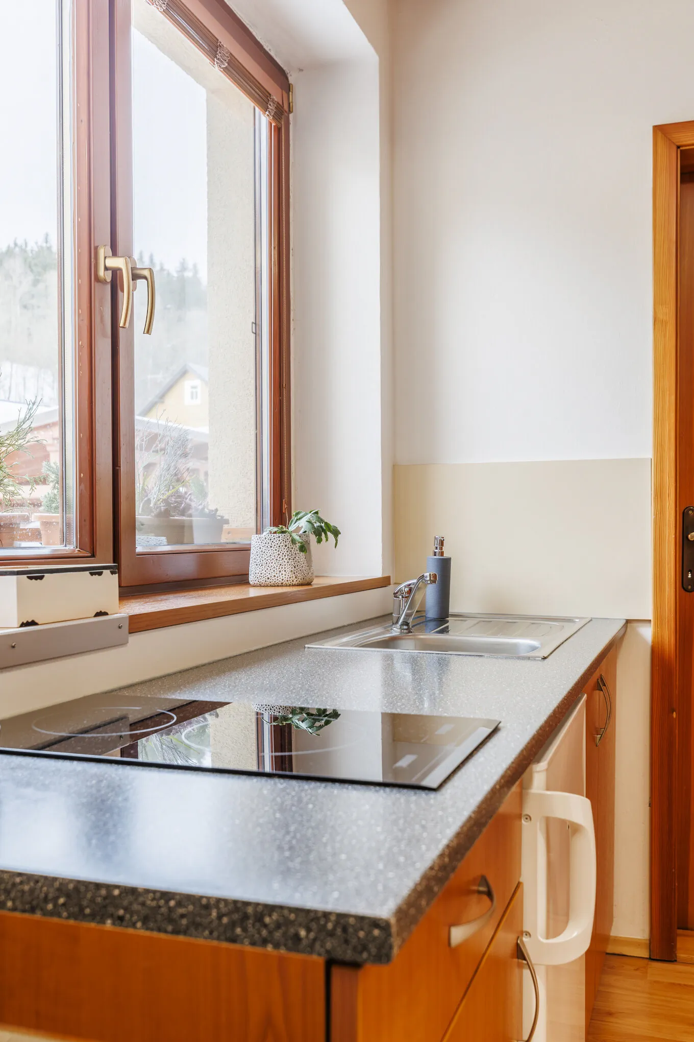 Apartmány Novákovi Dolní Morava - foto 6