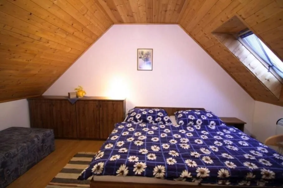 Penzion U Lupíků Frýdlant nad Ostravicí – Frýdlant nad Ostravicí, Republica Cehă