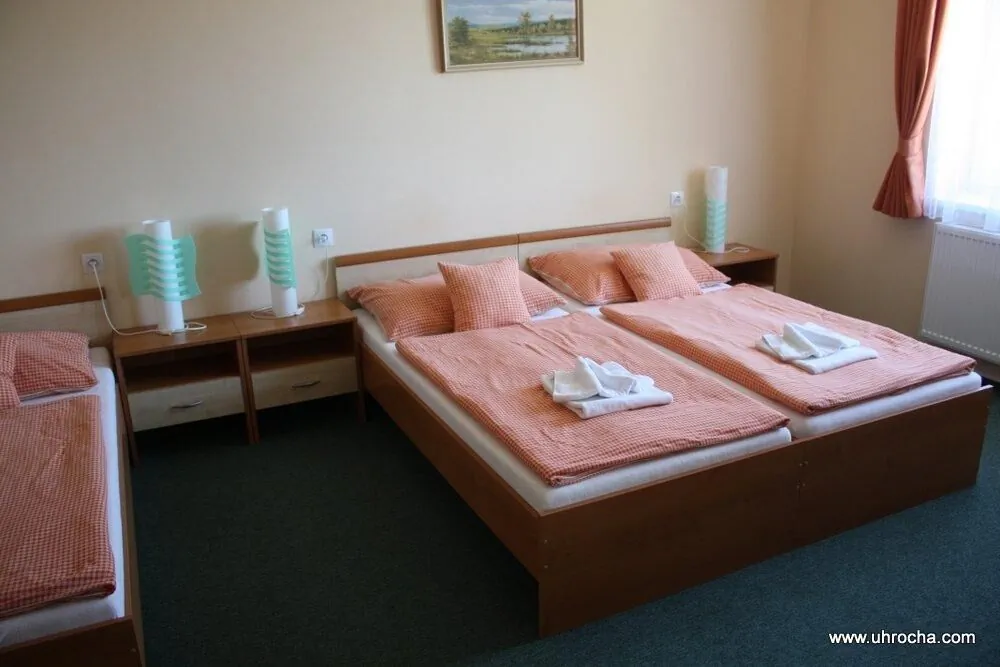 Hotel U Hrocha Škrdlovice – Škrdlovice, Česká republika