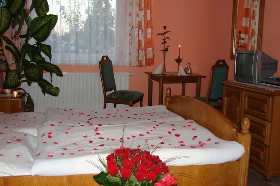 Hotel Zátiší Uherský Brod – Uherský Brod, Česká republika