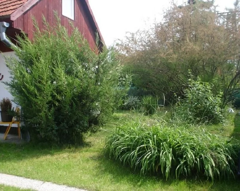 Podhájska Ubytovanie D&B Konečná Trávnica – Trávnica, Slovacia