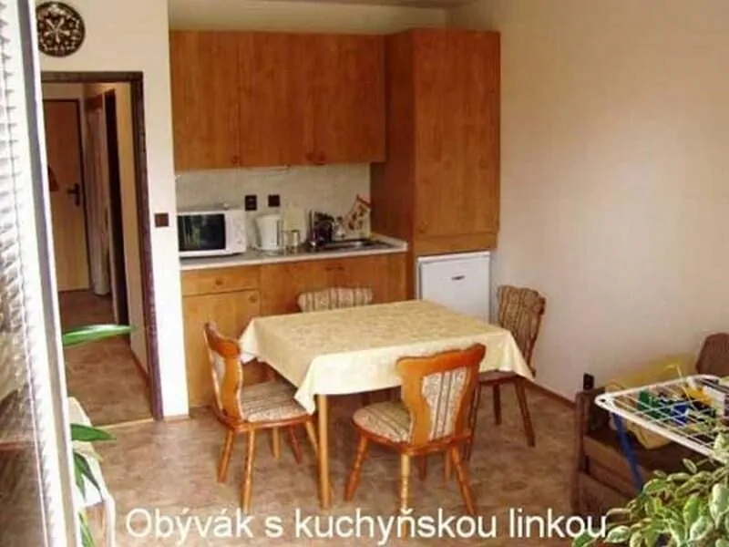 Apartmány Bílov - foto 7