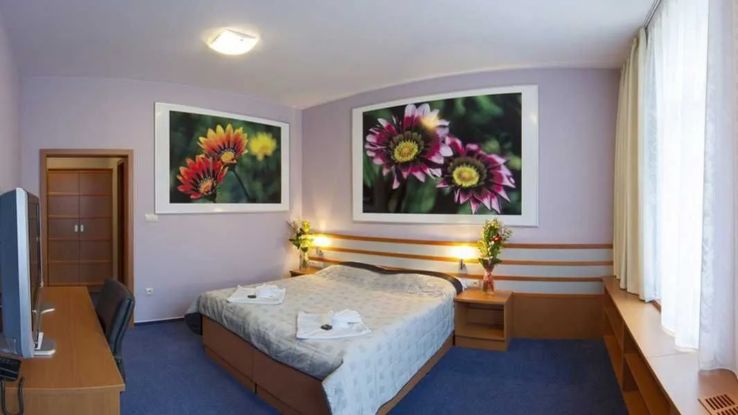 Hotel Air Holíč – Holíč, Słowacja