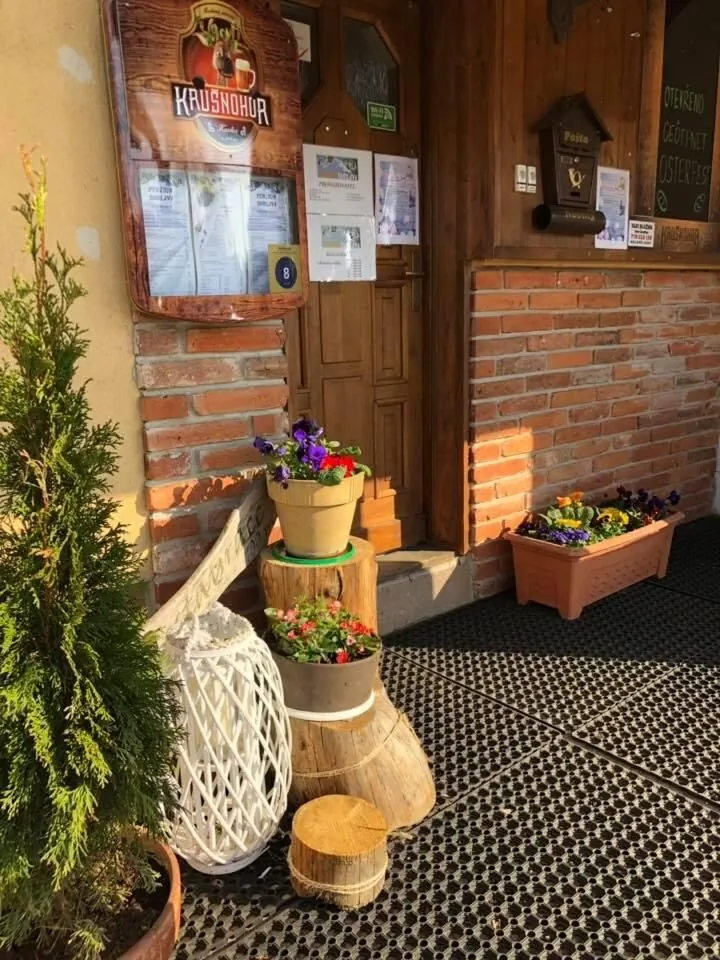 Penzion Bublava – Bublava, Česká republika