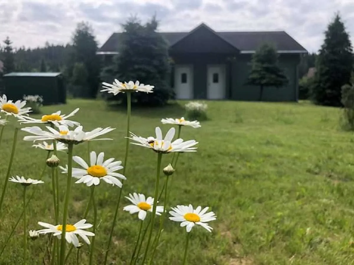 Apartmány Potůčky - foto 2