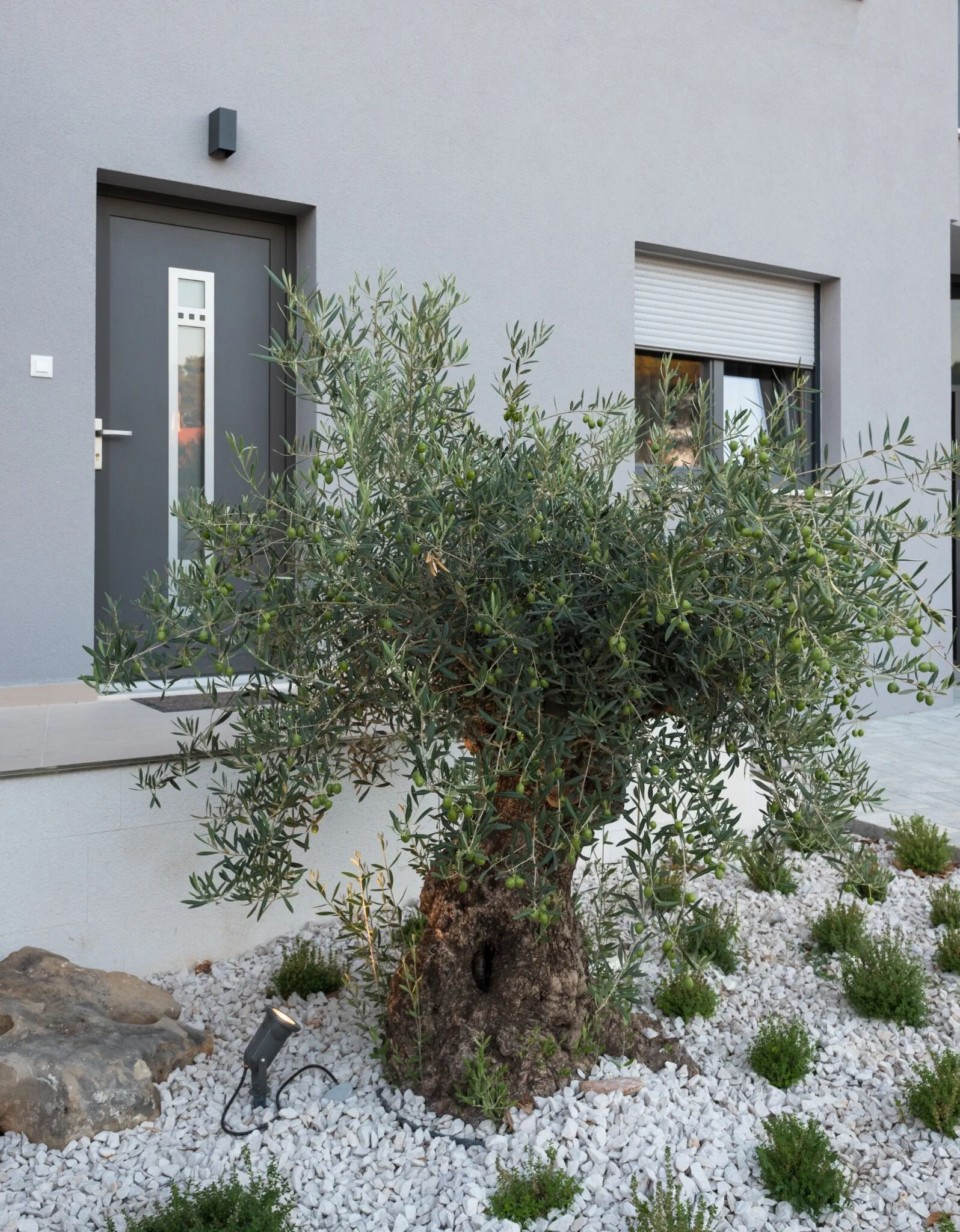 Croatica Suites Brodarica - foto 5