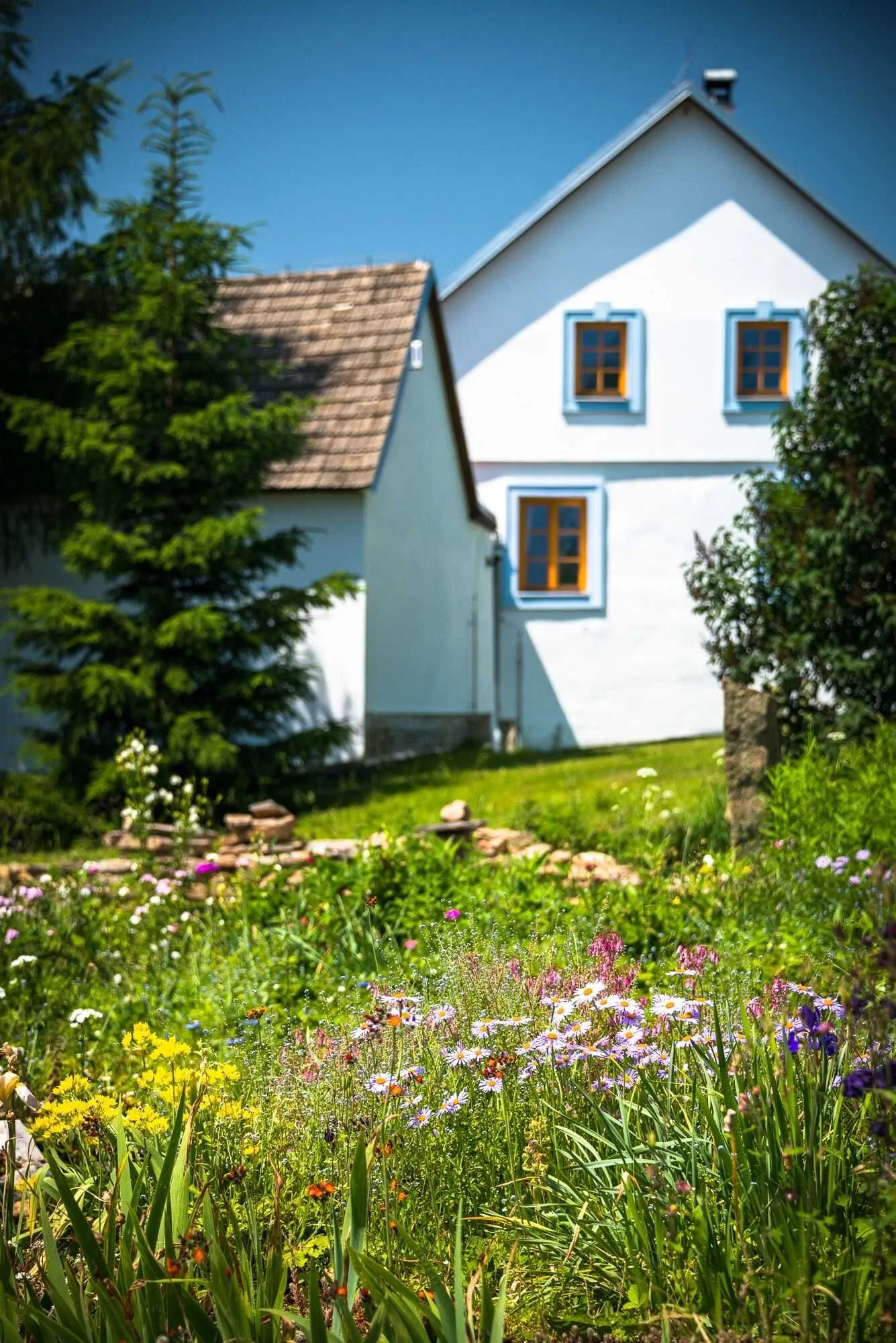 penzion Bořetínský Statek Bořetín - foto 7