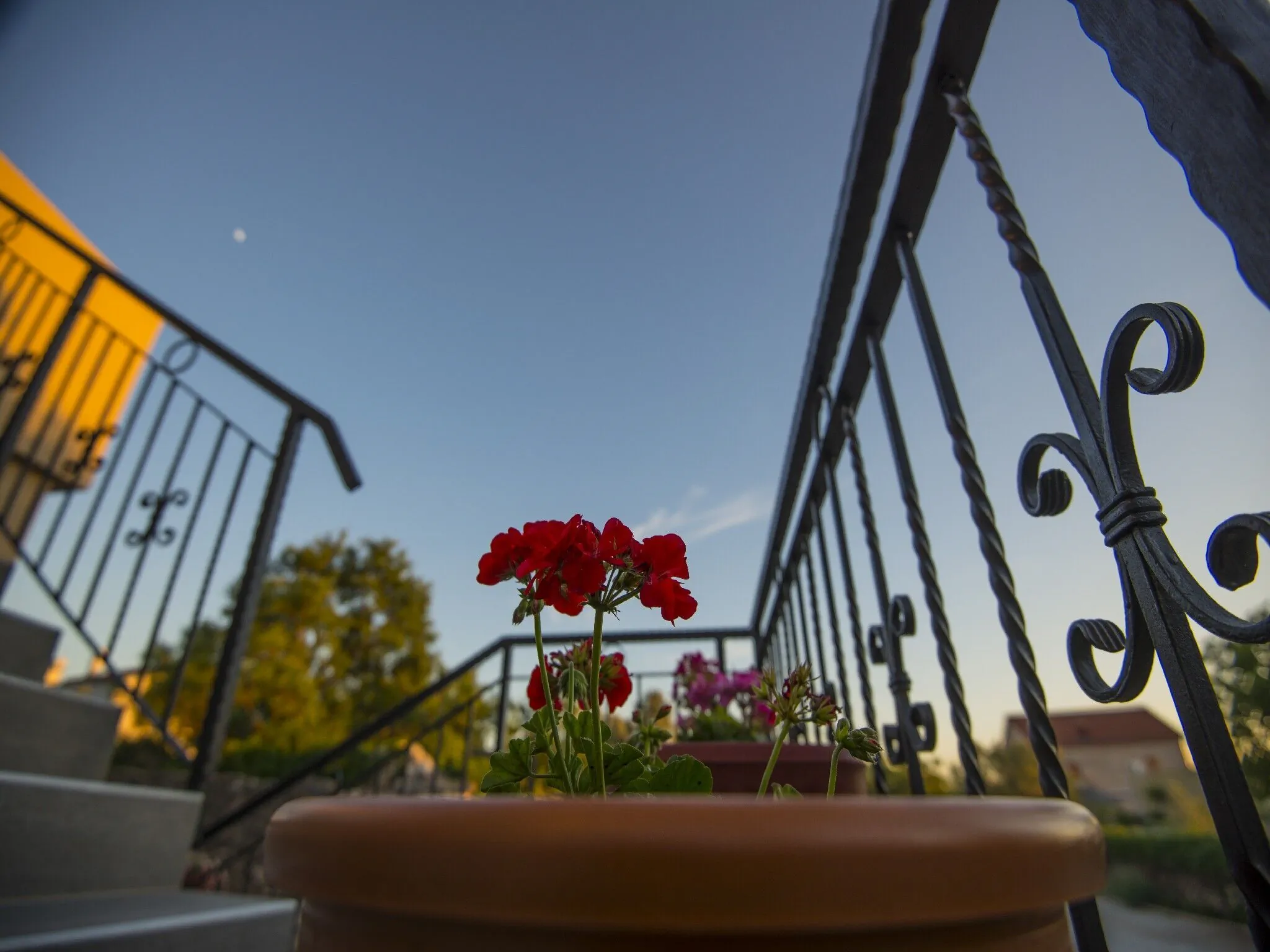 Apartments Punta-in the stone house Starigrad Paklenica - foto 8