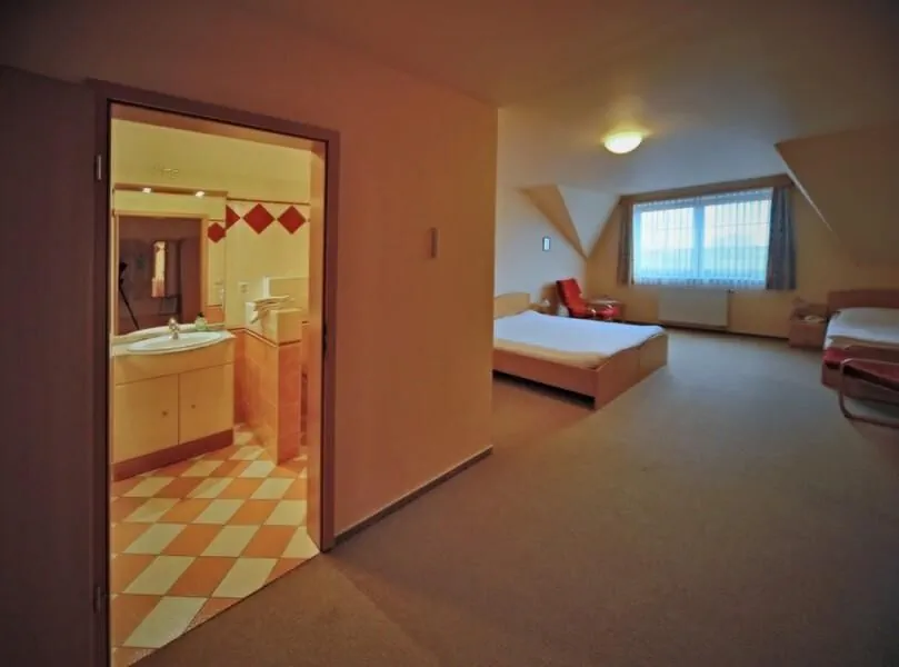 Hotel U Krbu Vestec - foto 9