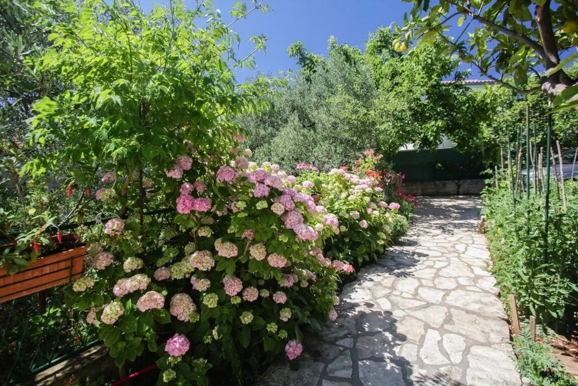 Apartments Plavica Rogoznica – Rogoznica, Croația