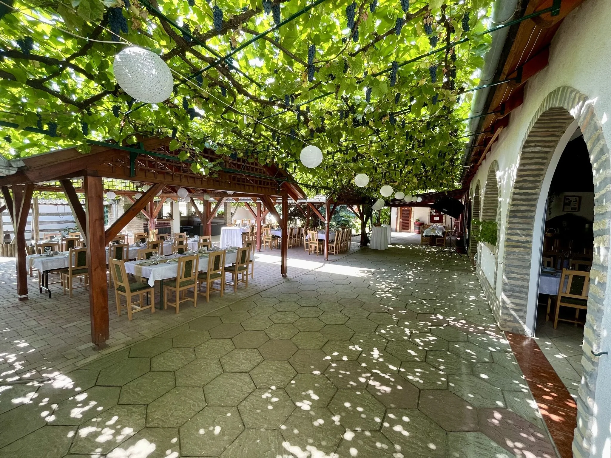 Borház Panzió Hajós-Pincefalu – Hajós, Ungaria