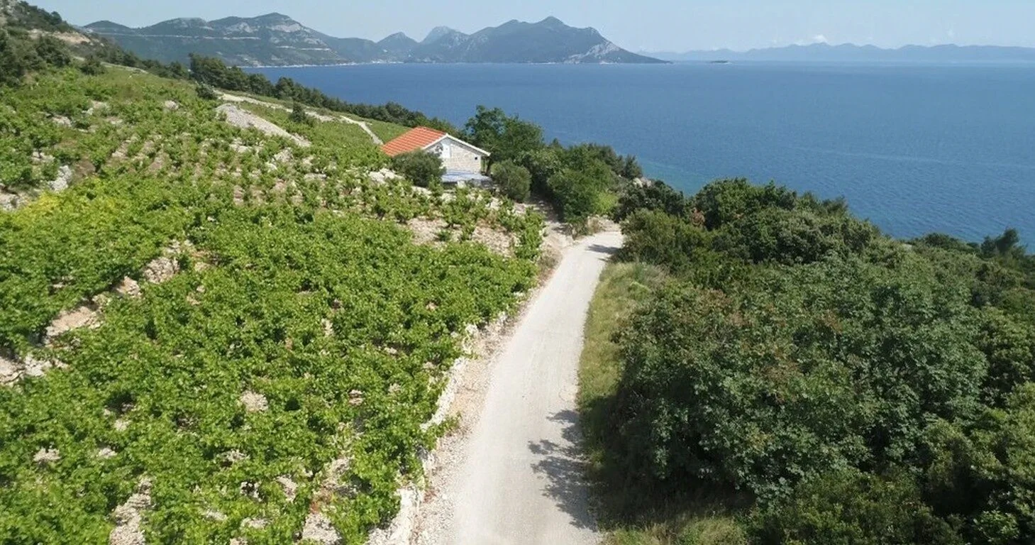 Robinson House Dingač Trstenik – Trstenik, Chorwacja