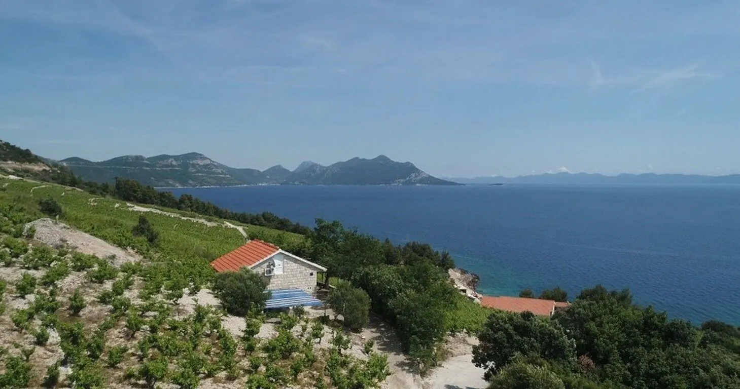Robinson House Dingač Trstenik – Trstenik, Chorwacja