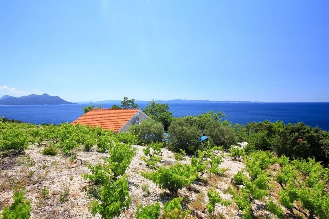 Robinson House Dingač Trstenik – Trstenik, Chorwacja