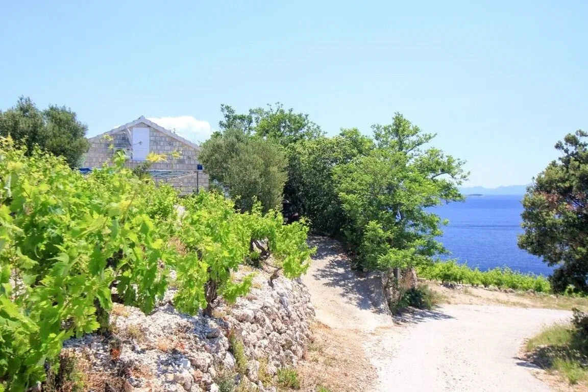Robinson House Dingač Trstenik – Trstenik, Chorwacja