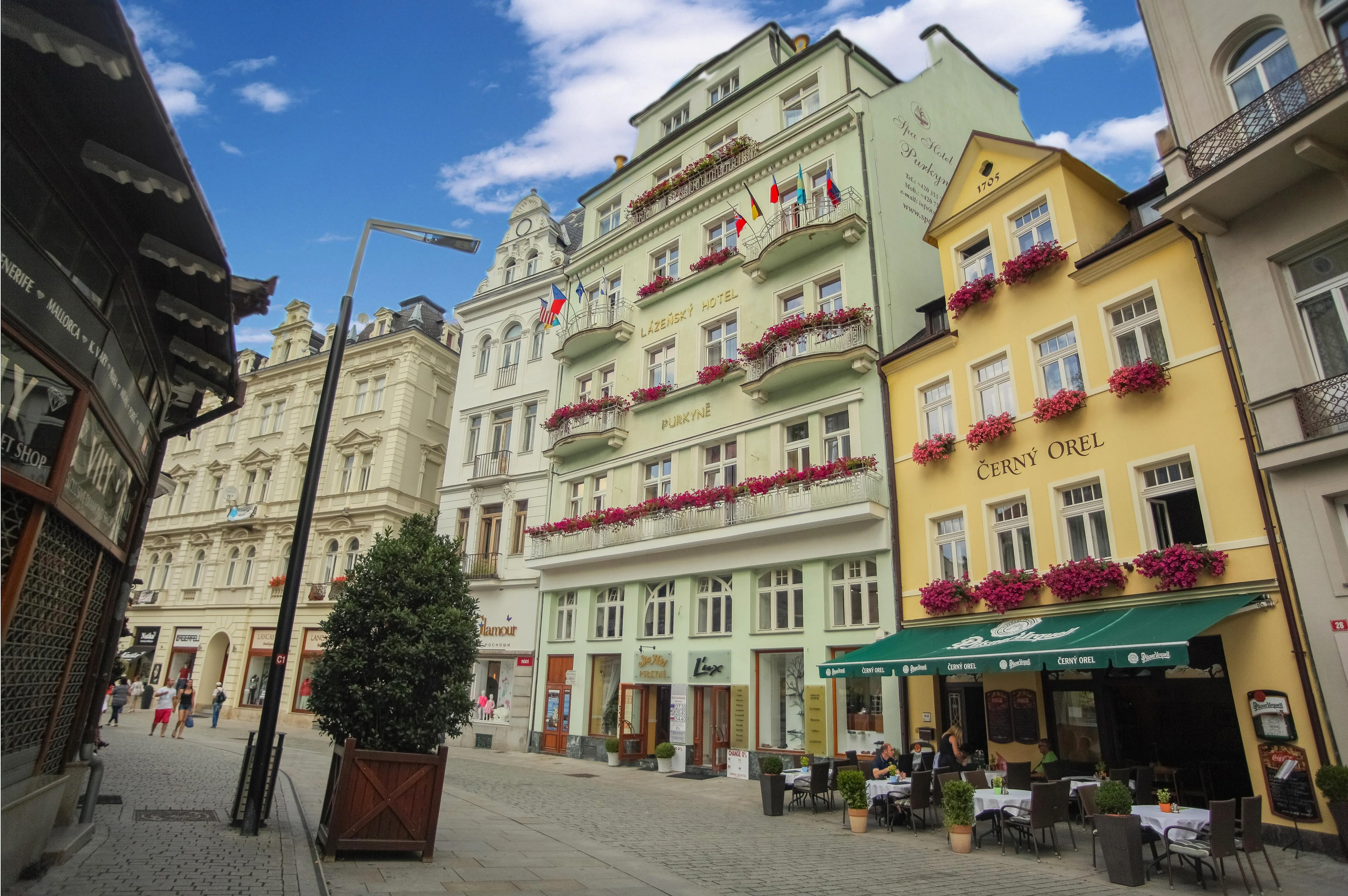 Lázeňský hotel PURKYNĚ Karlovy Vary – Karlovy Vary, Česká republika