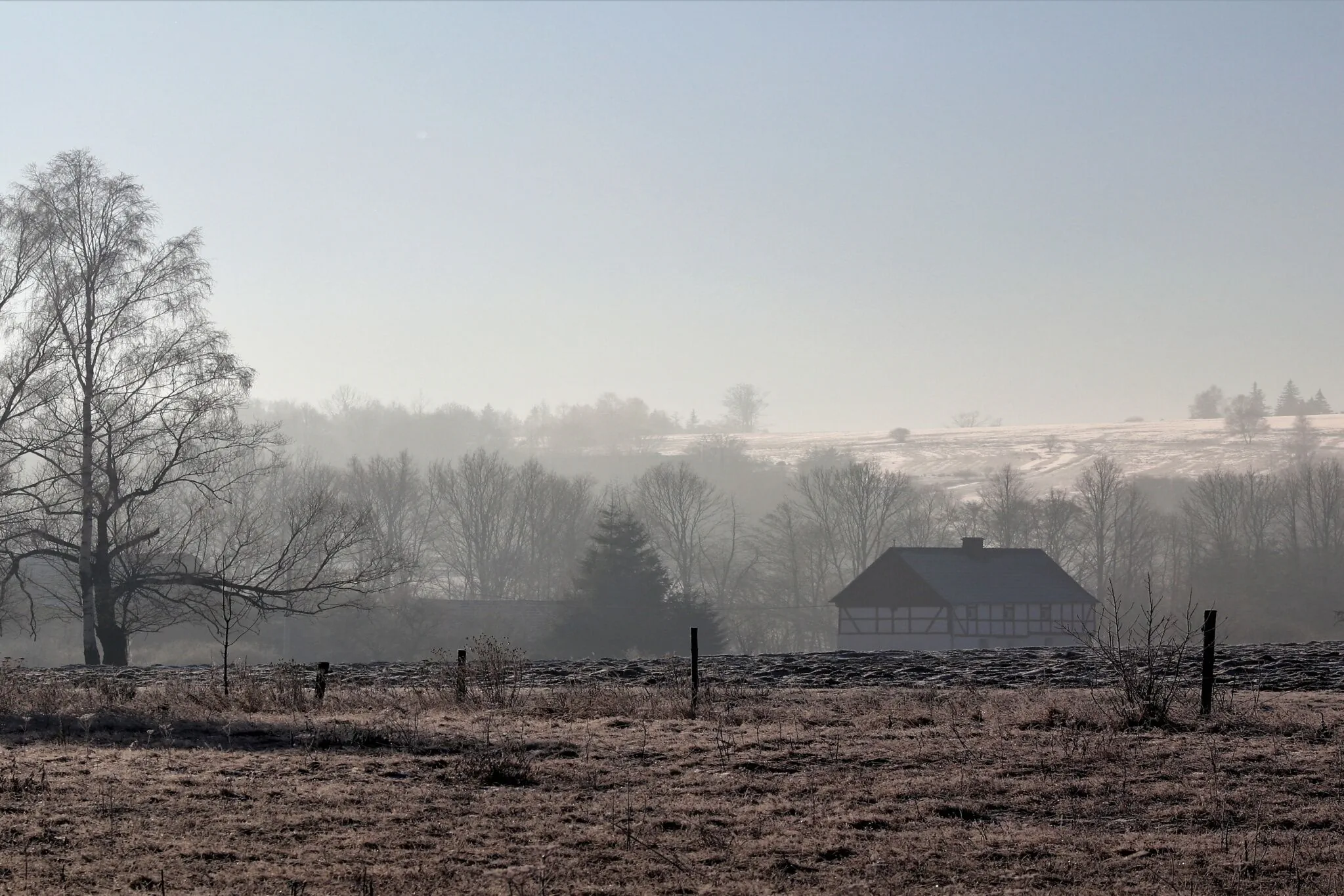 Gospodarstwo Agroturystyczne Powierzówka Grabiszyce Górne - foto 6