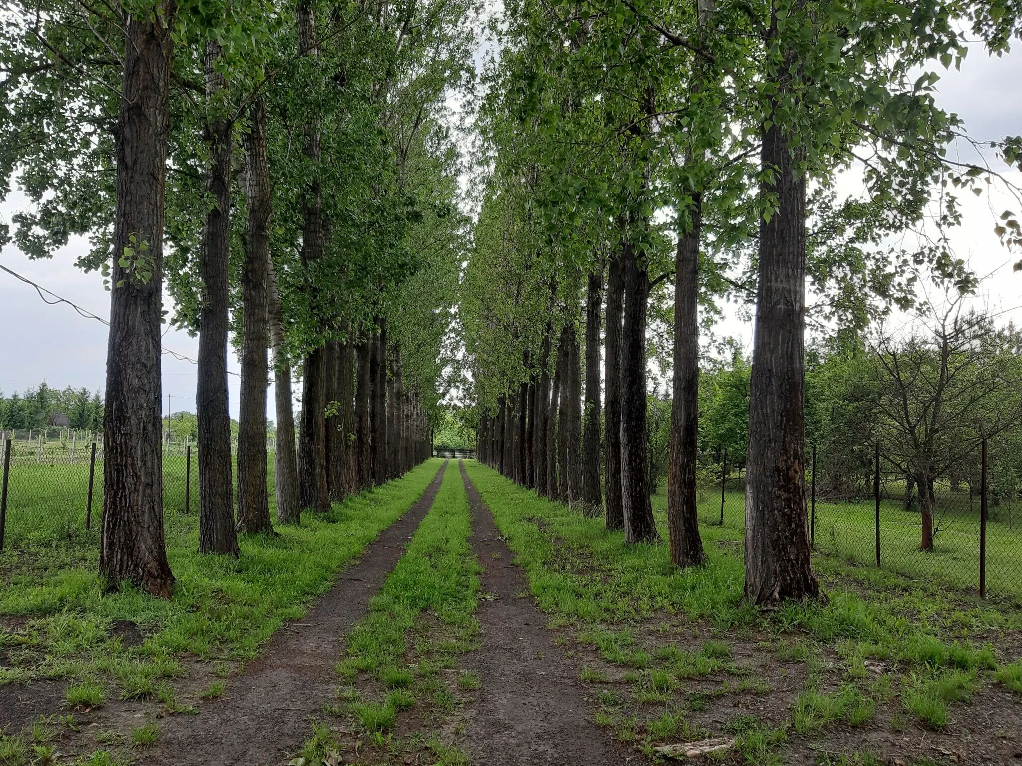 Matula Horgász Nyaraló Gyomaendrőd – Gyomaendrőd, Ungaria
