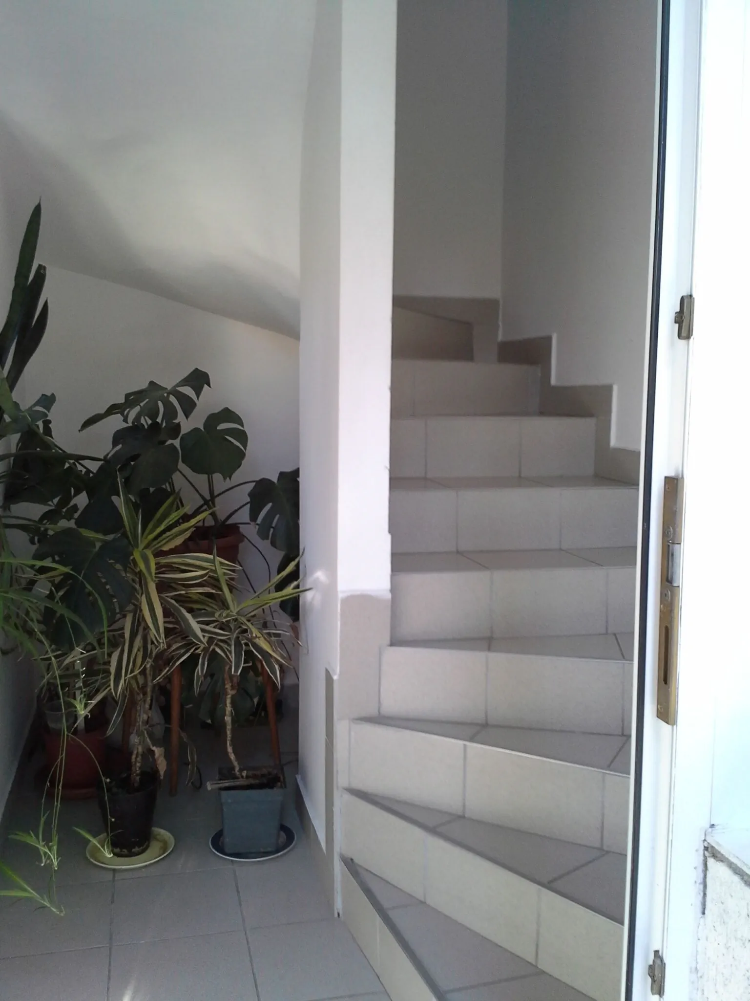 Jani Apartman Szigliget - foto 6