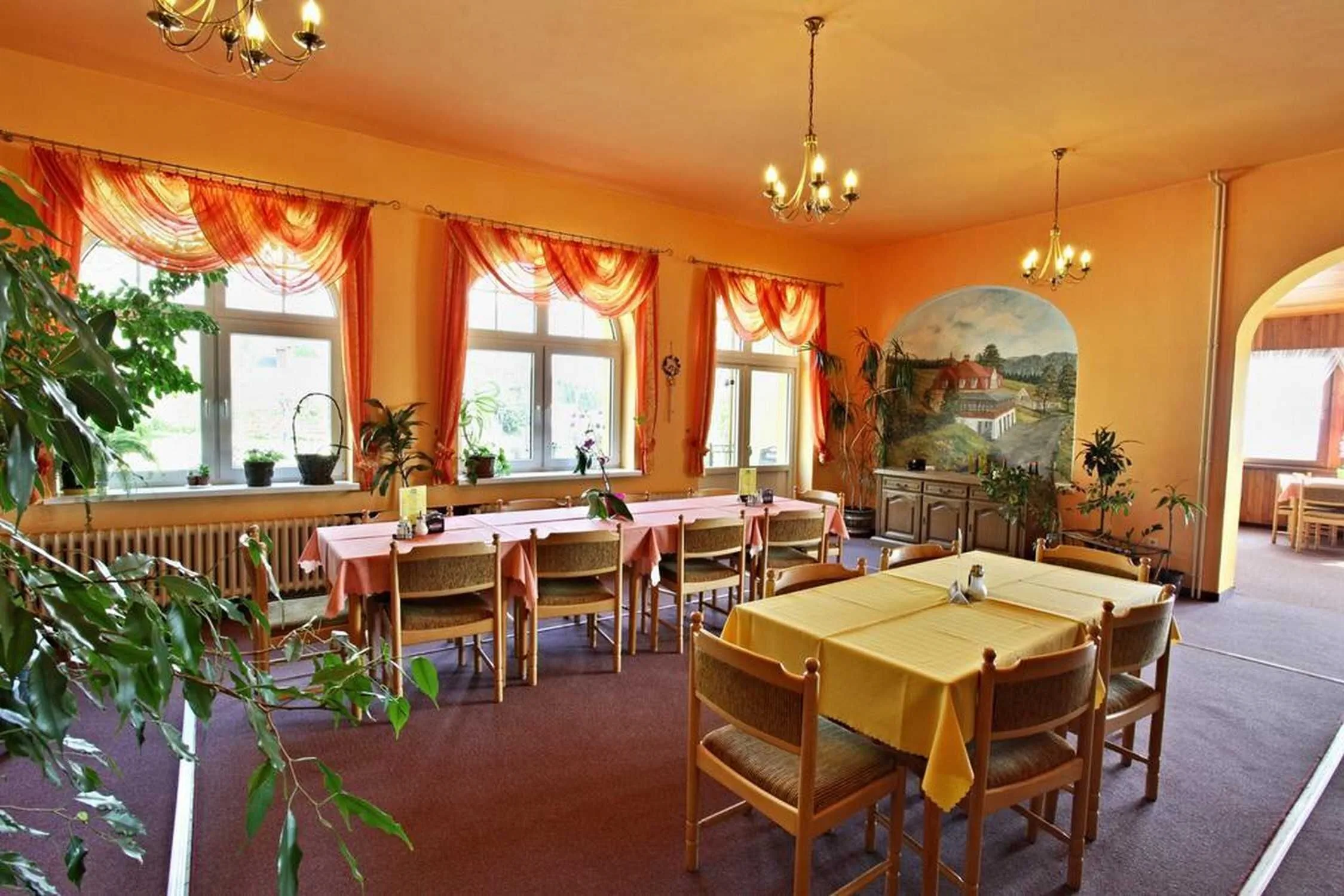 Penzion VYHLÍDKA Janovičky Heřmánkovice - foto 3