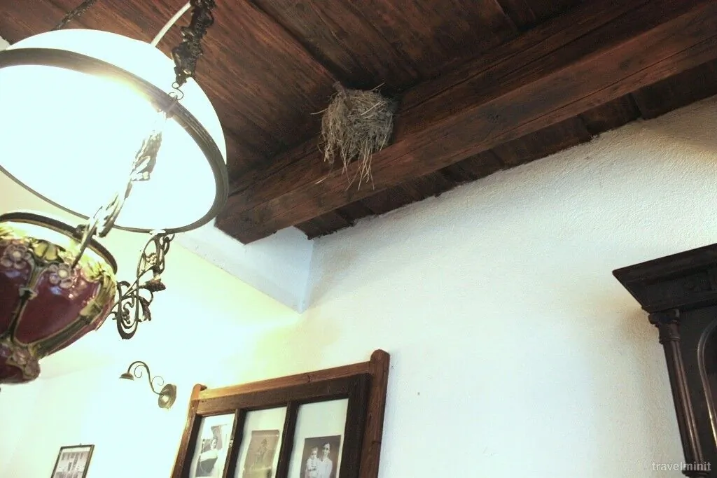 Casa de oaspeti La Conac Rugănești – Rugănești, România