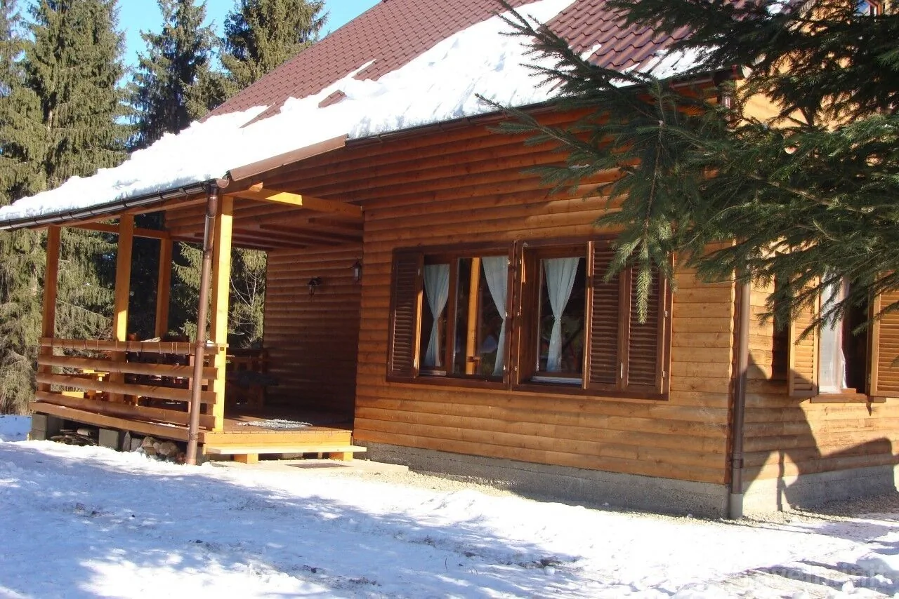 Casa de oaspeti Czirjak Borzont – Borzont, România