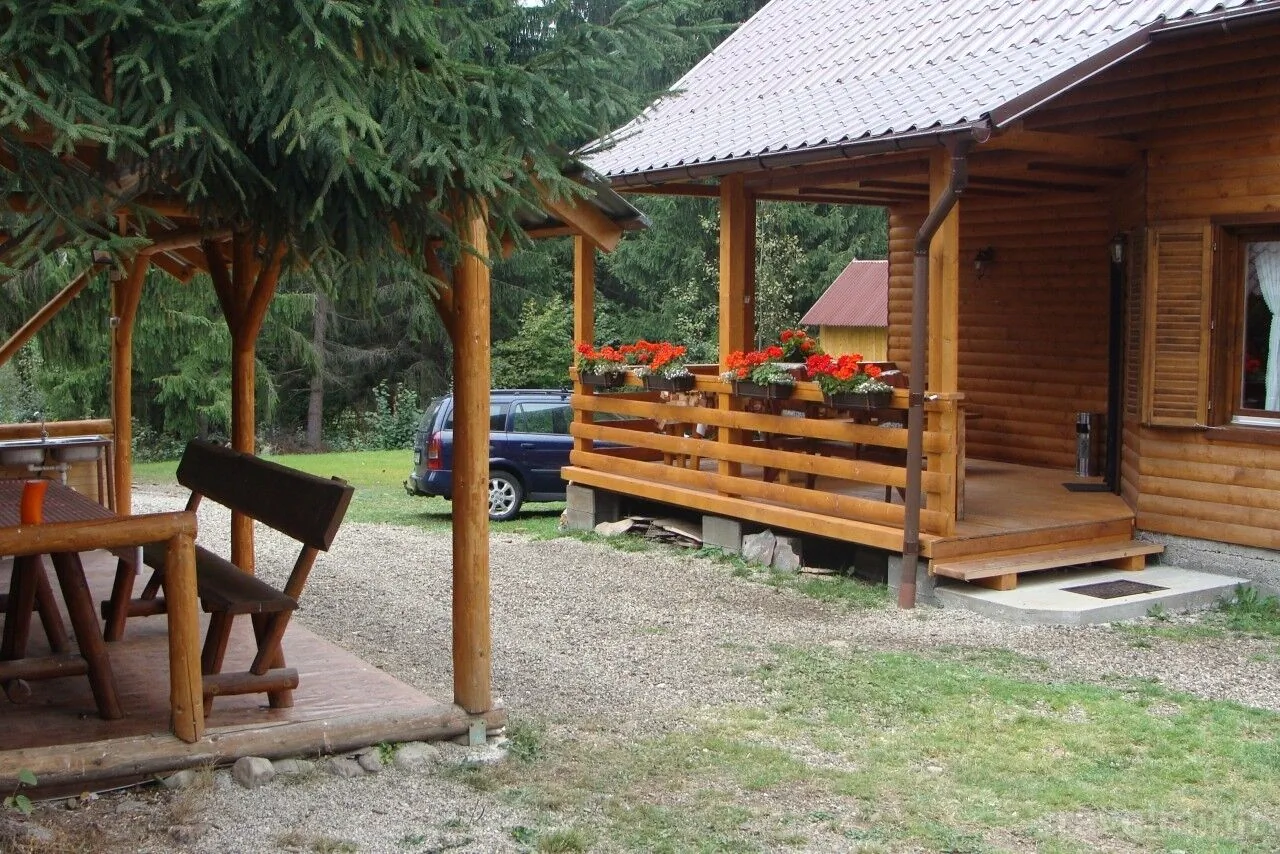 Casa de oaspeti Czirjak Borzont – Borzont, România