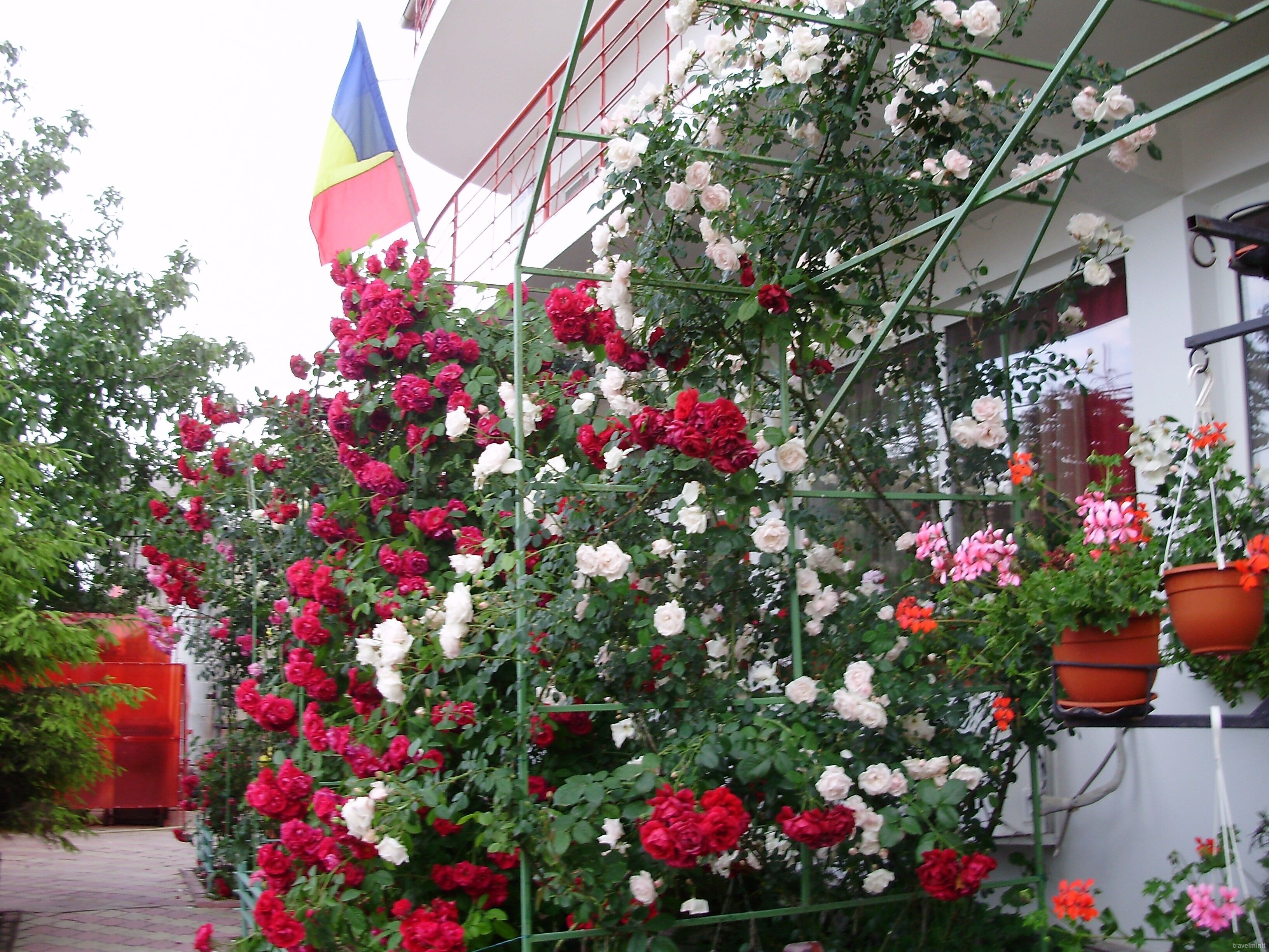 Casa de oaspeți Margo 2 Mai – 2 Mai, România