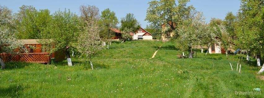 Pensiunea Zamolxe Sarmizegetusa – Sarmizegetusa, România