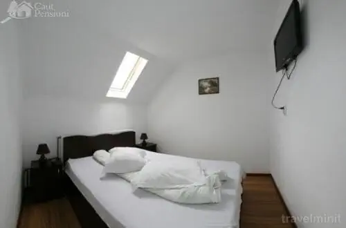 Pensiunea Iuliana Căpățânenii Pământeni - foto 4