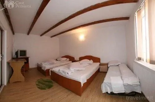 Pensiunea Iuliana Căpățânenii Pământeni - foto 5