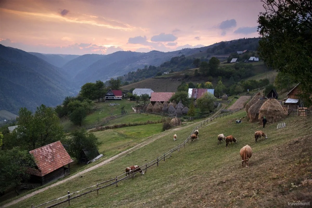 Pensiunea Popasul Iancului Mărișel – Mărişel, România