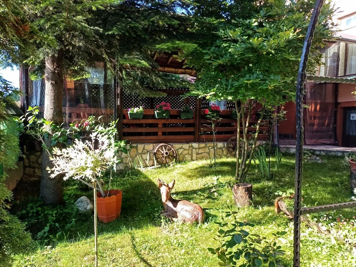 Pensiunea Agroturistica Piscul Soarelui Câmpulung - foto 2