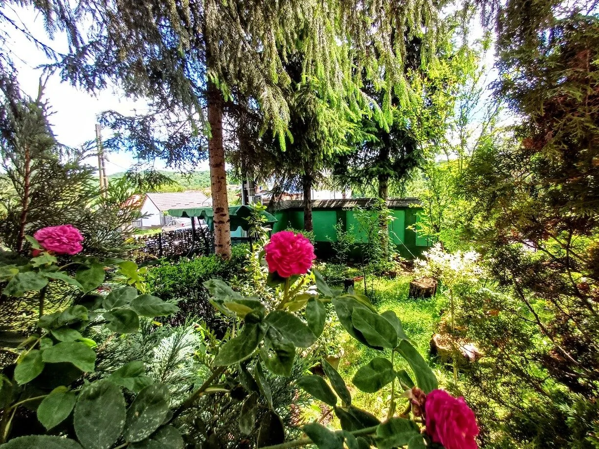 Pensiunea Agroturistica Piscul Soarelui Câmpulung - foto 4