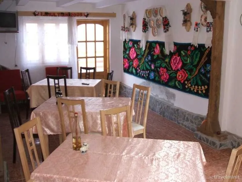Casa Muntean Vadu Izei – Vadu Izei, România