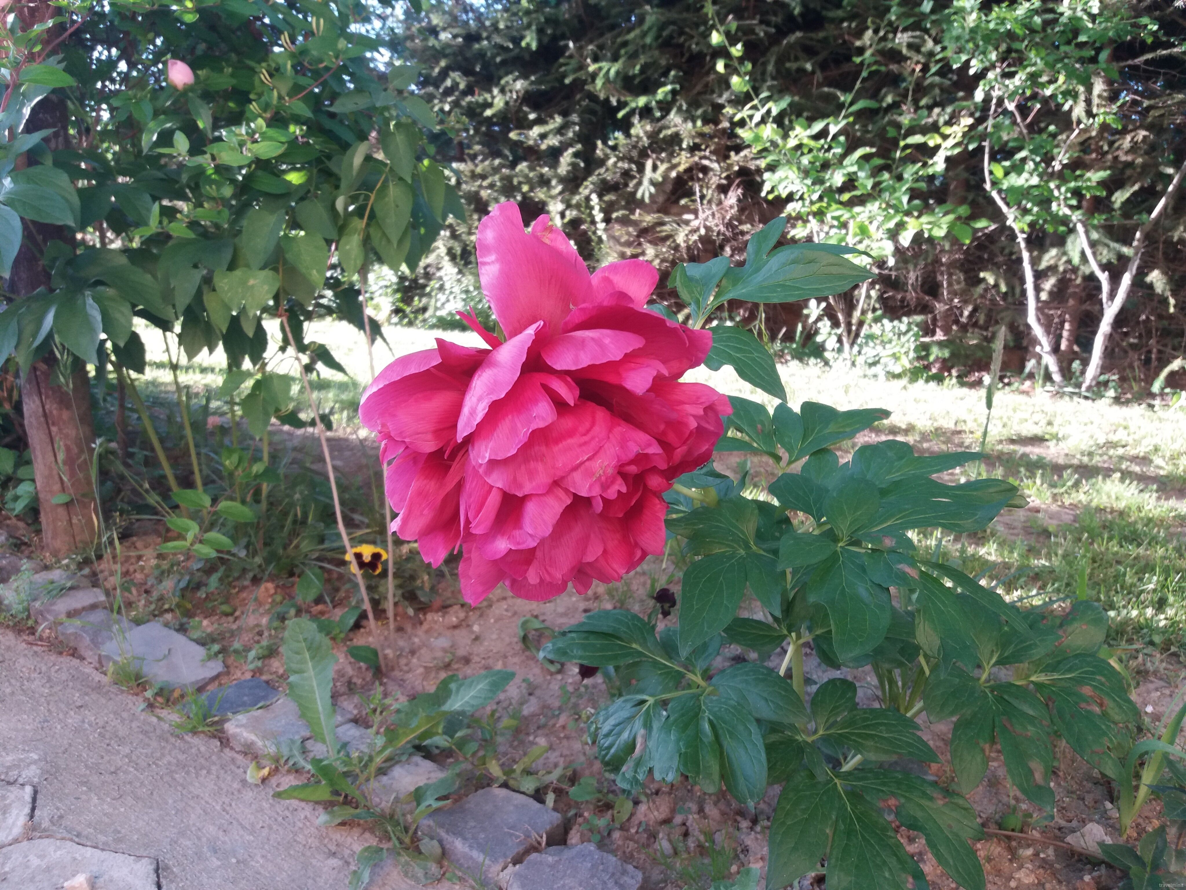 Casa Piscu Ioanei Poiana Mărului - foto 2
