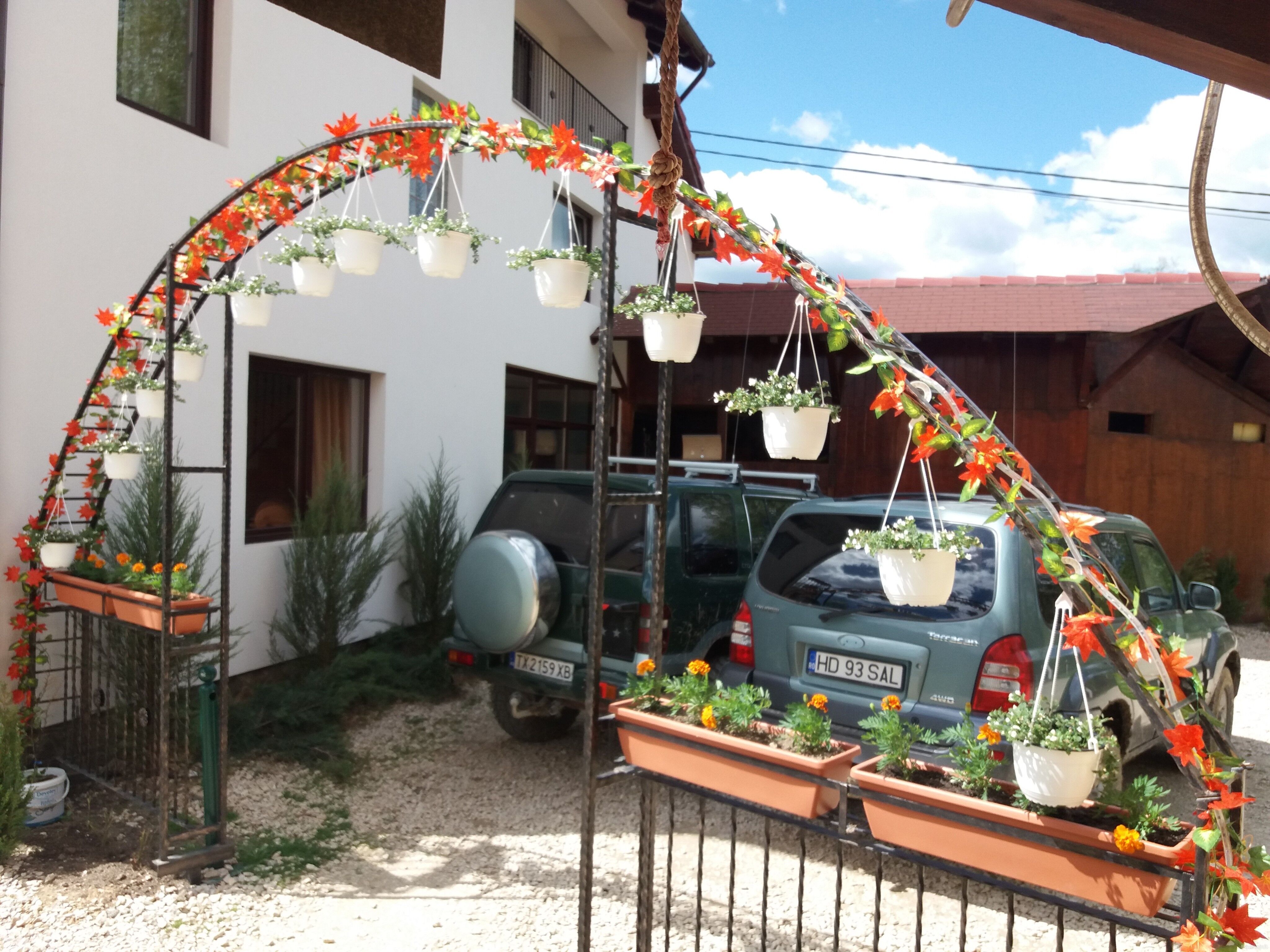 Casa Piscu Ioanei Poiana Mărului - foto 4