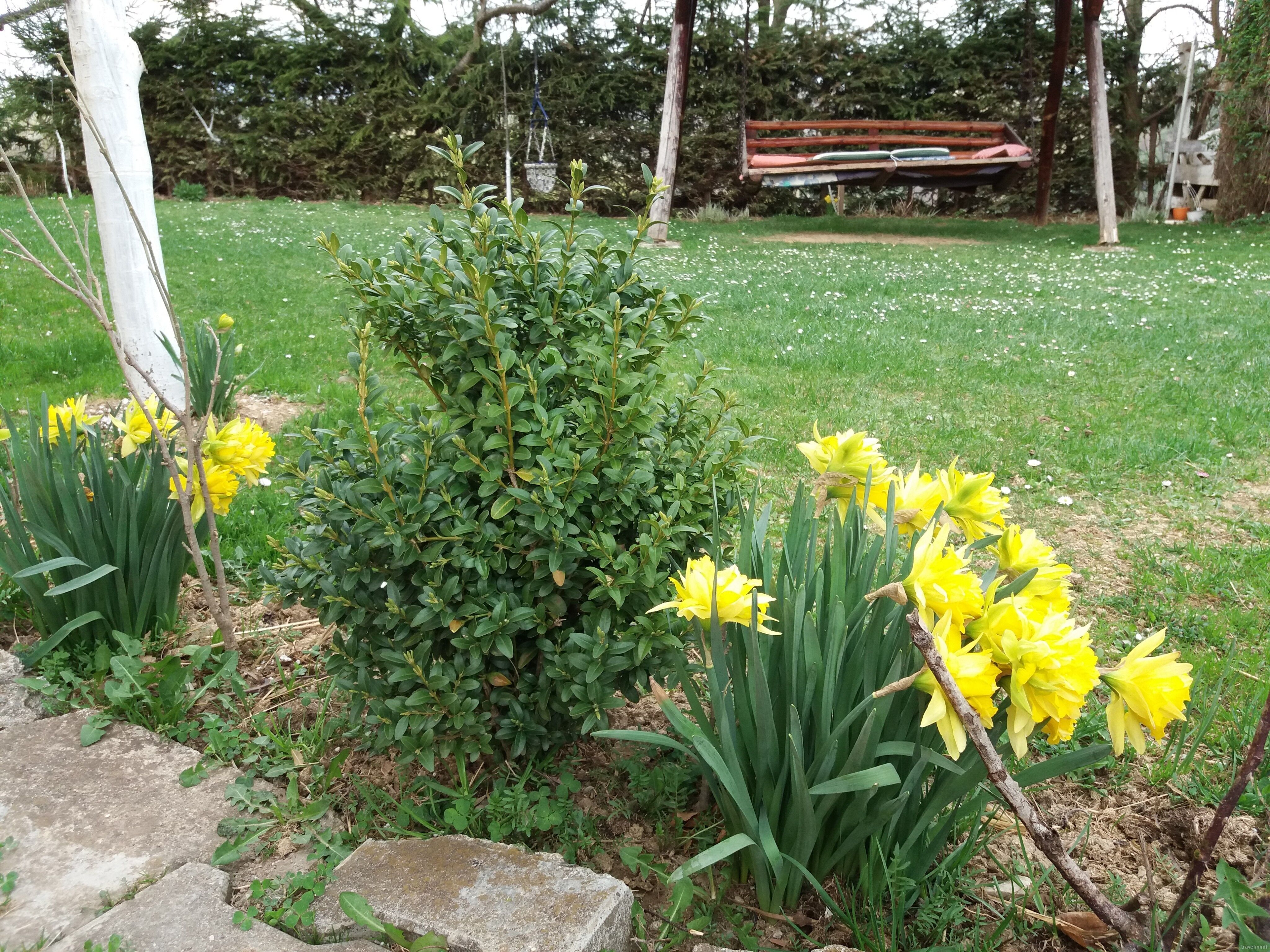 Casa Piscu Ioanei Poiana Mărului - foto 5