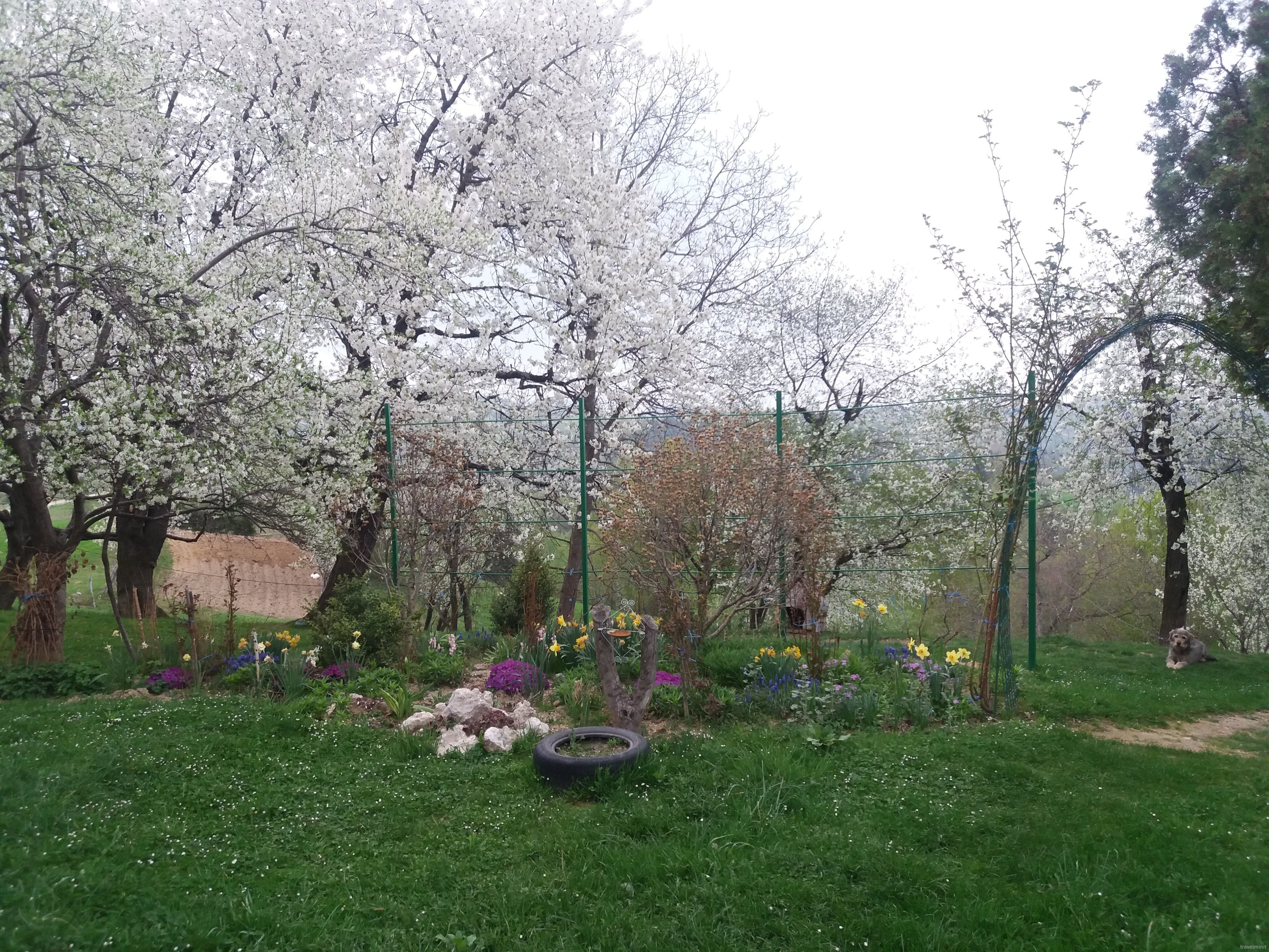 Casa Piscu Ioanei Poiana Mărului - foto 9