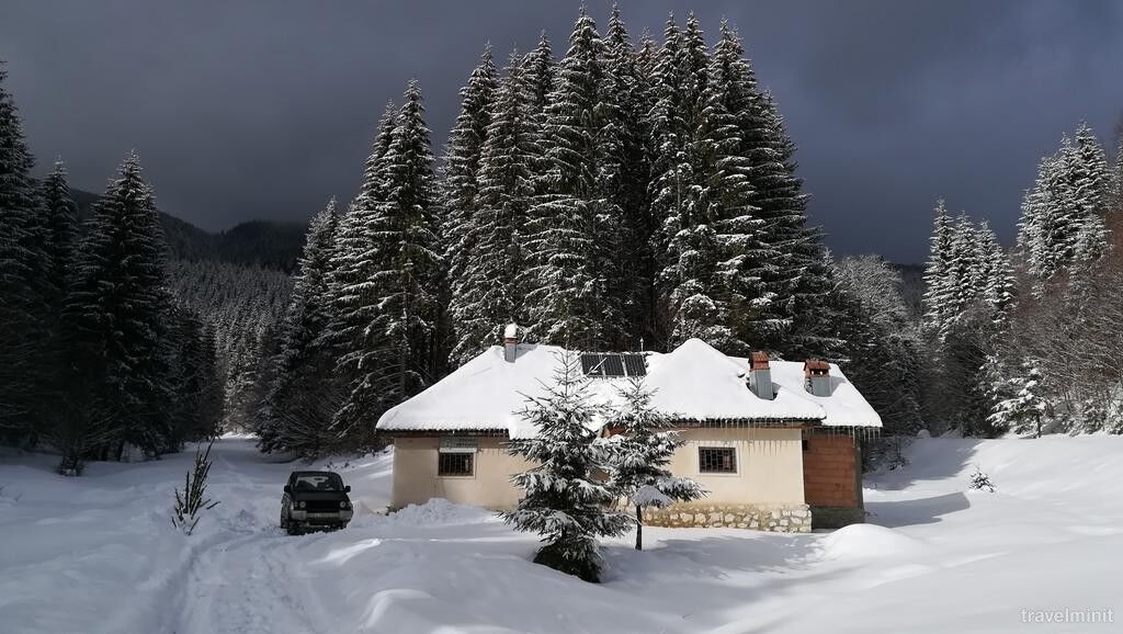 Cabana Pietricica Dâmbovicioara – Dâmbovicioara, România